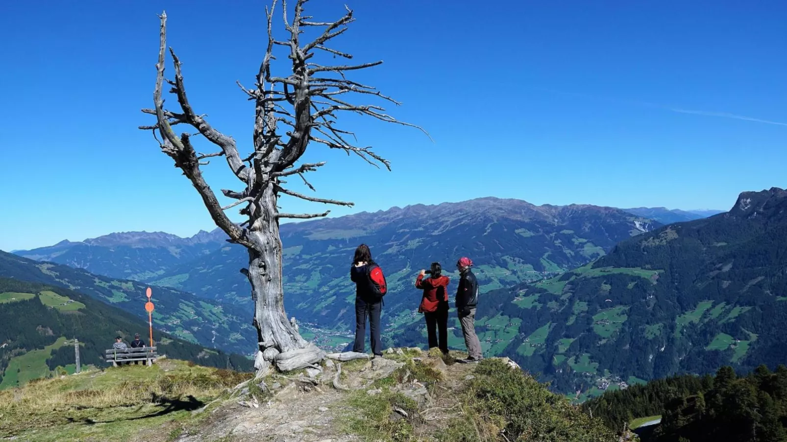 Haus Austria Top 5-Areas summer 20km