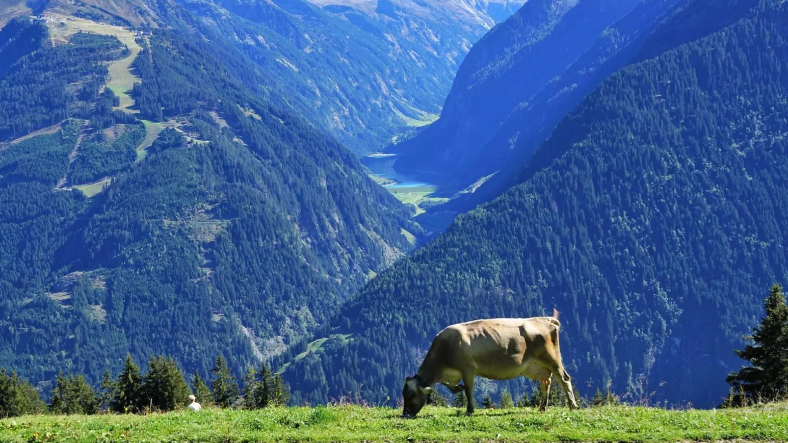 Haus Austria Top 5-Areas summer 20km