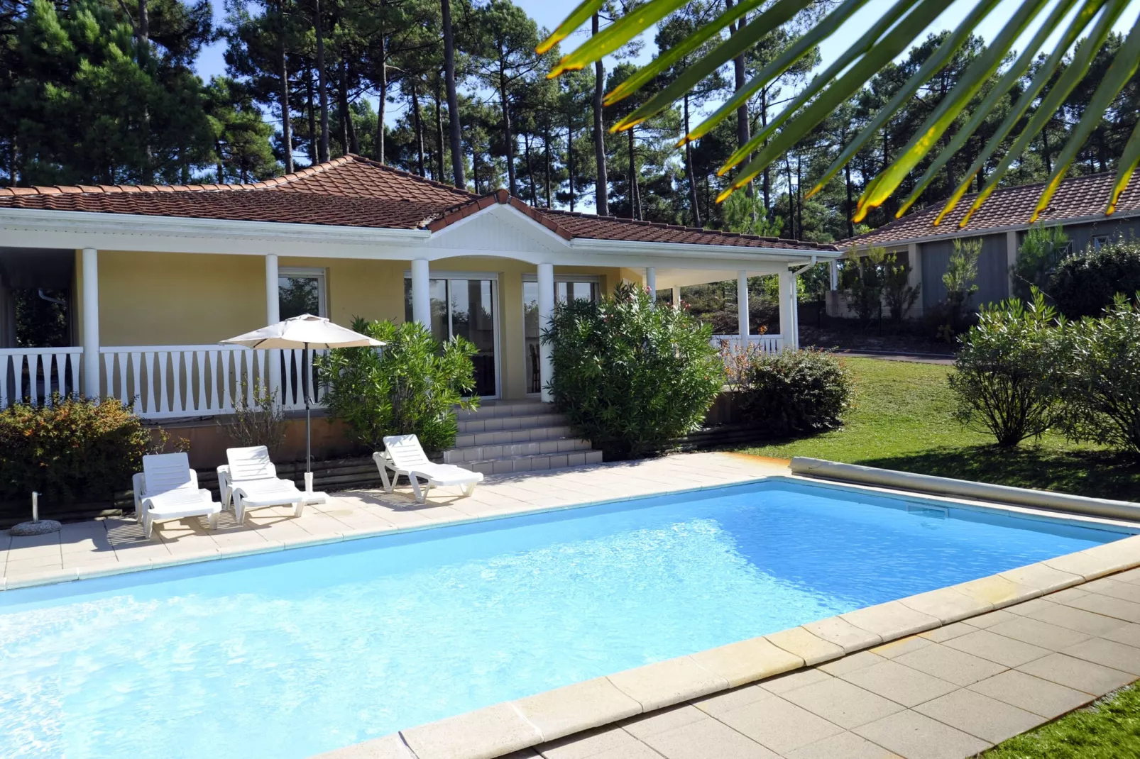 Eden Parc Golf 3-Exterior summer