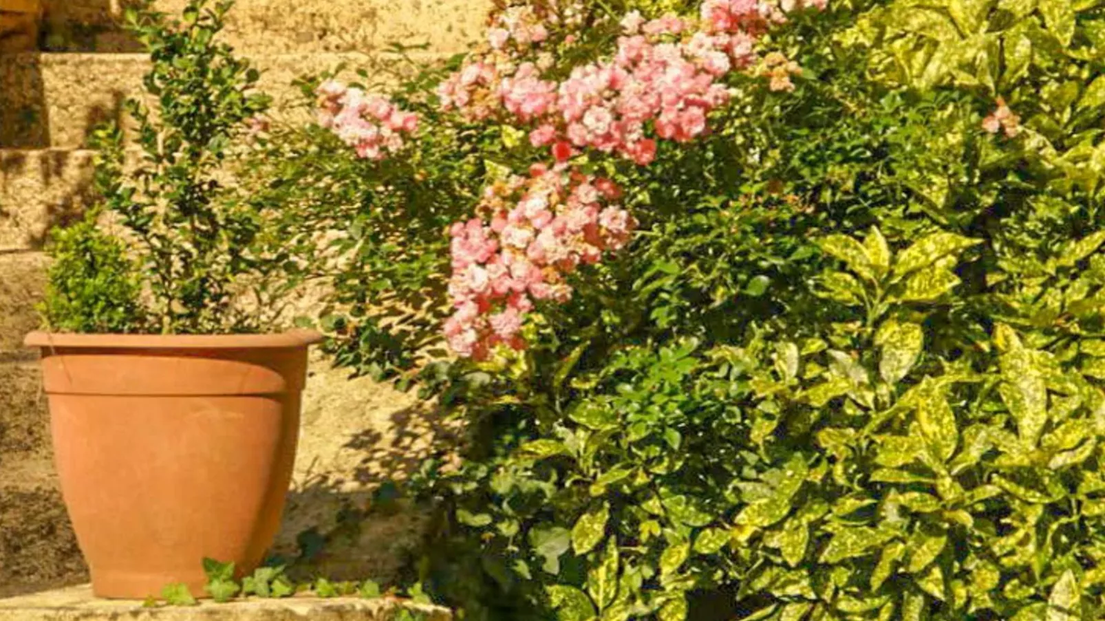 Gite Le Croix du Notaire-Gardens summer