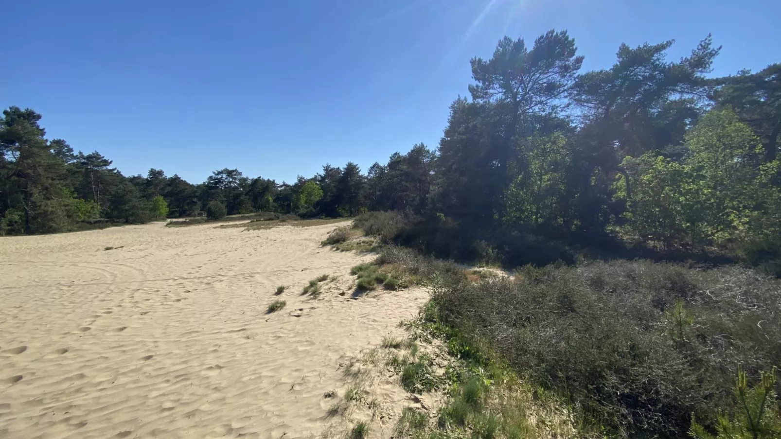 Boshuisje-Gebiete Sommer 1 km