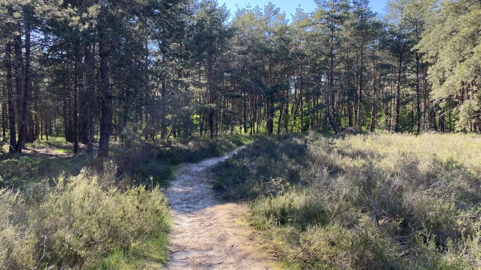 Boshuisje-Gebiete Sommer 1 km