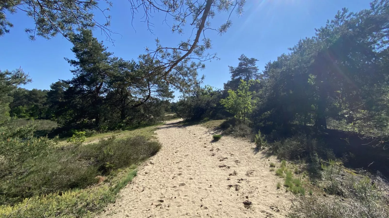 Boshuisje-Gebiete Sommer 1 km