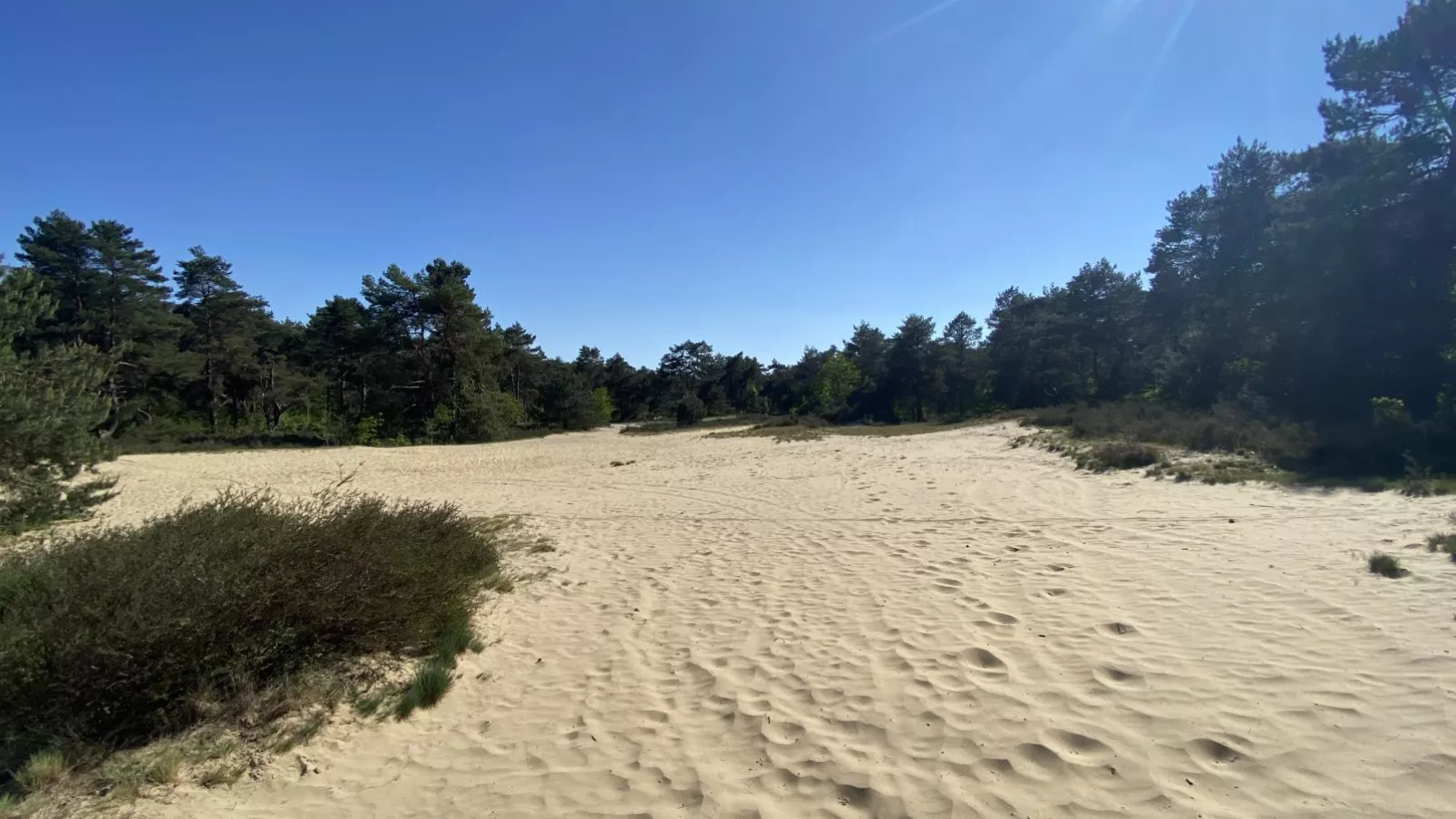 Boshuisje-Gebiete Sommer 1 km