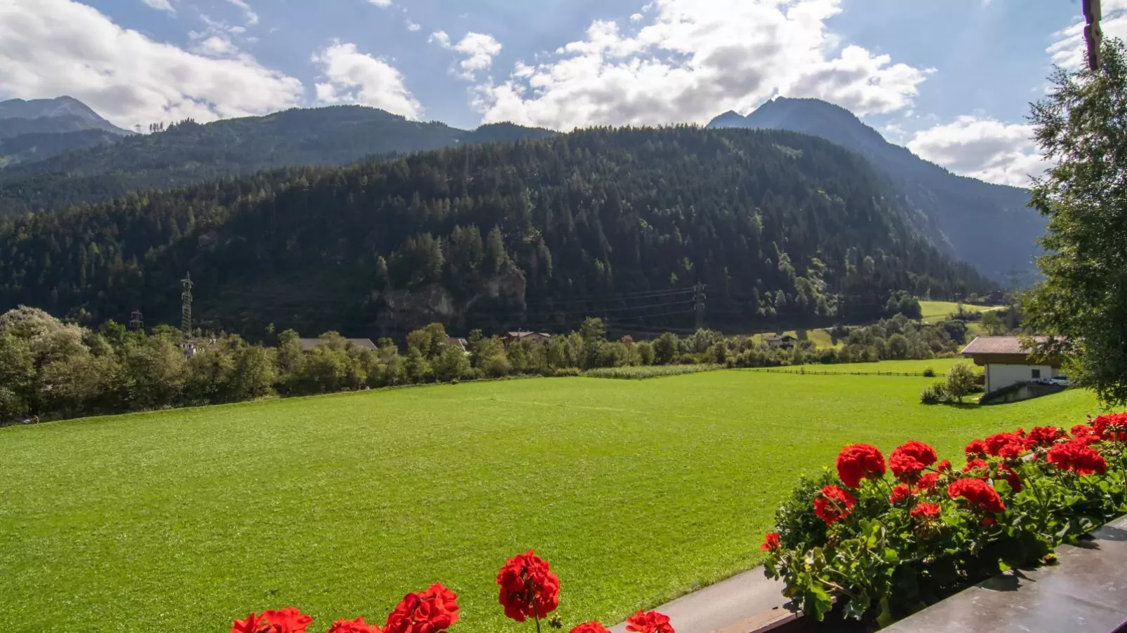 Ferienhaus Oblasser II-View summer
