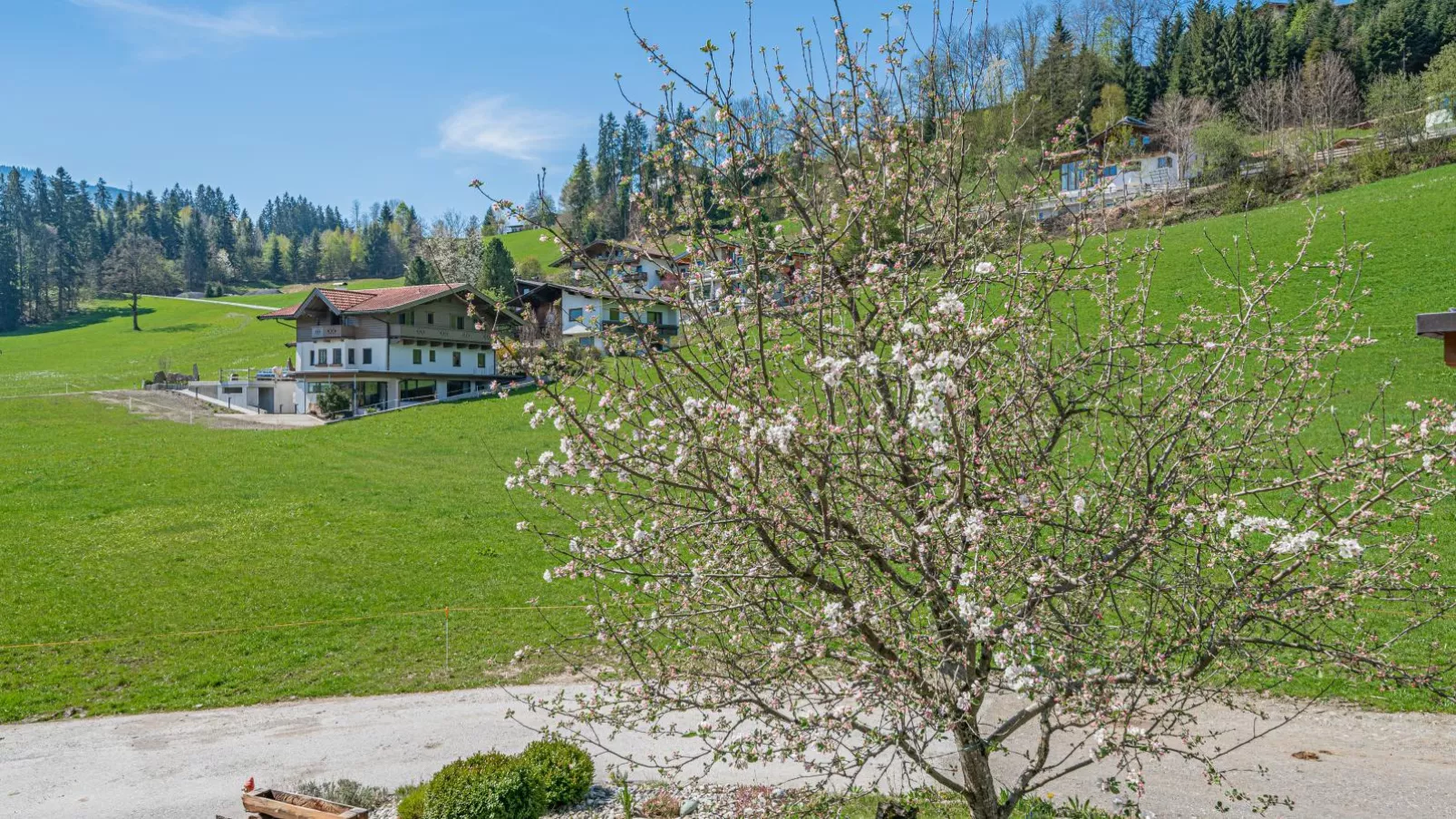 Hohe Salve XL-View summer