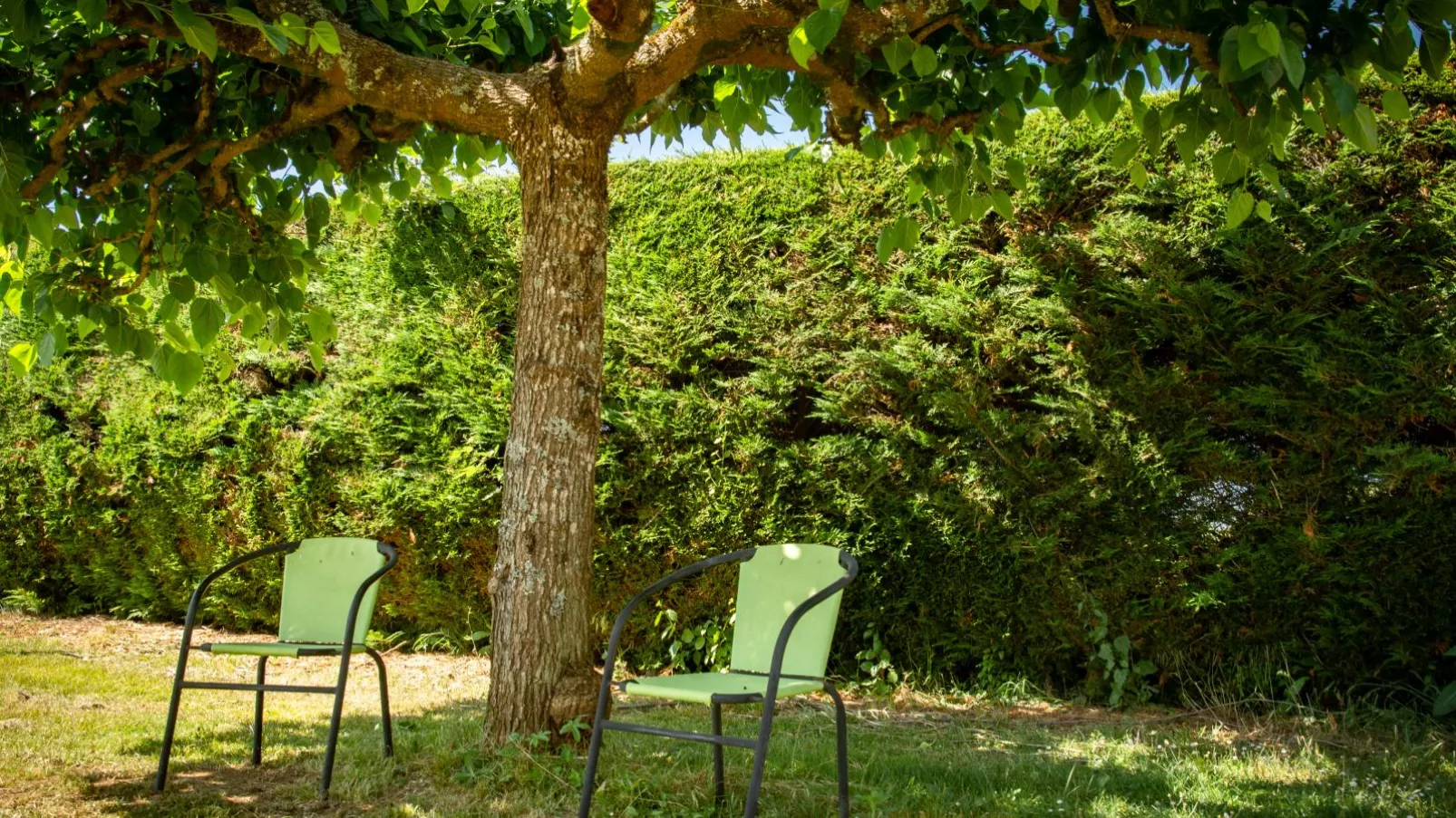 Gite Les Vitarelles-Gardens summer