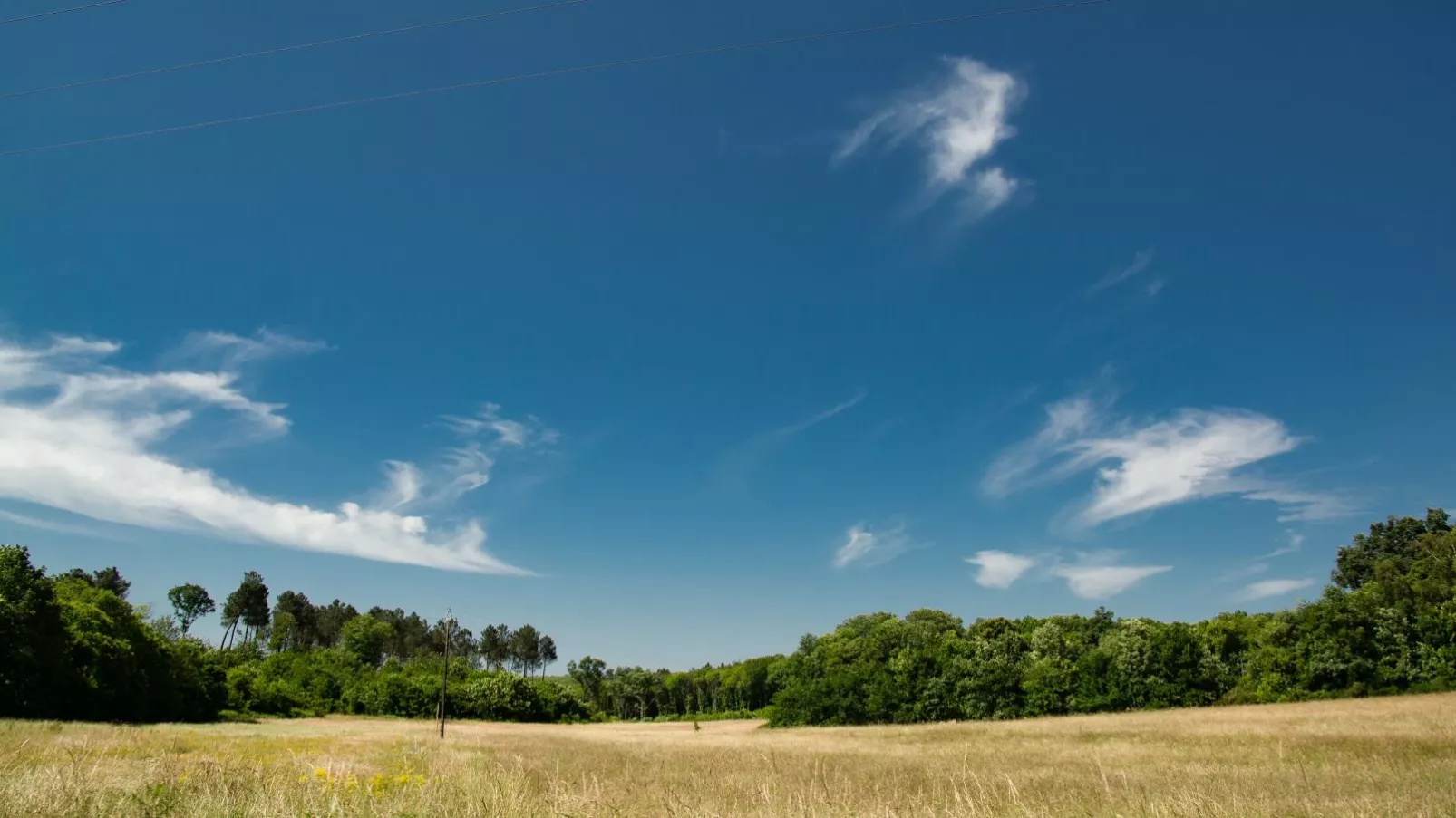 Gite Les Vitarelles-View summer