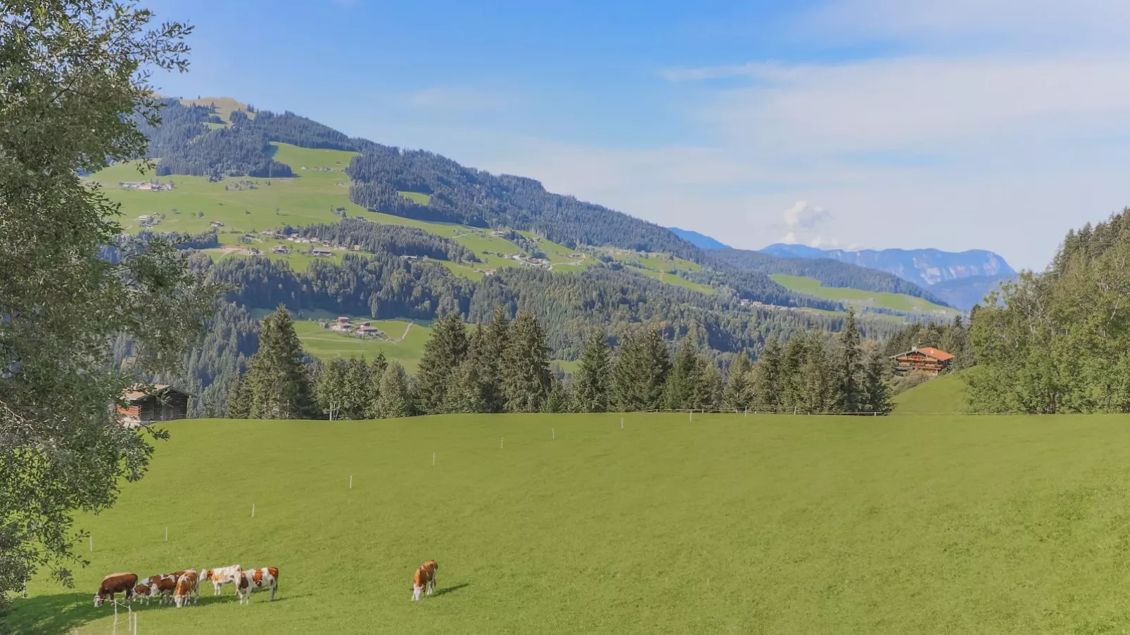 Haus Fabian-View summer