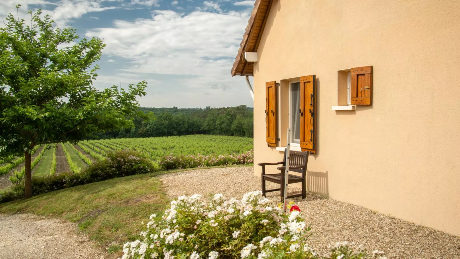 Gite LEysalle-Exterior summer