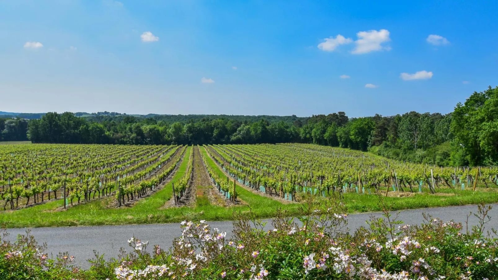 Gite LEysalle-View summer