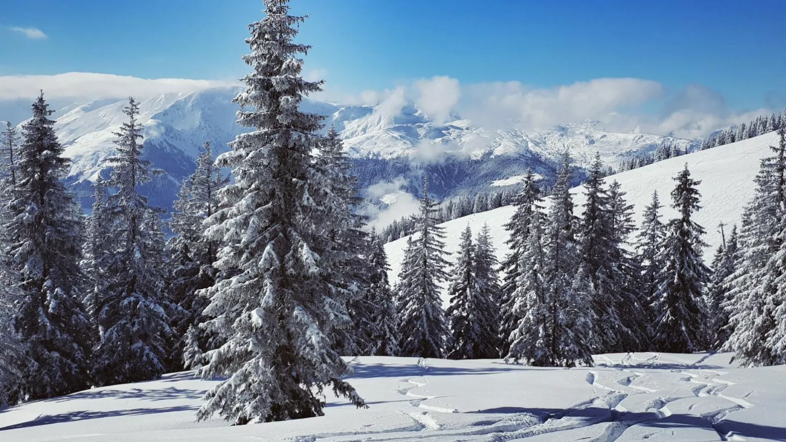 Janita XL-Area winter 20km