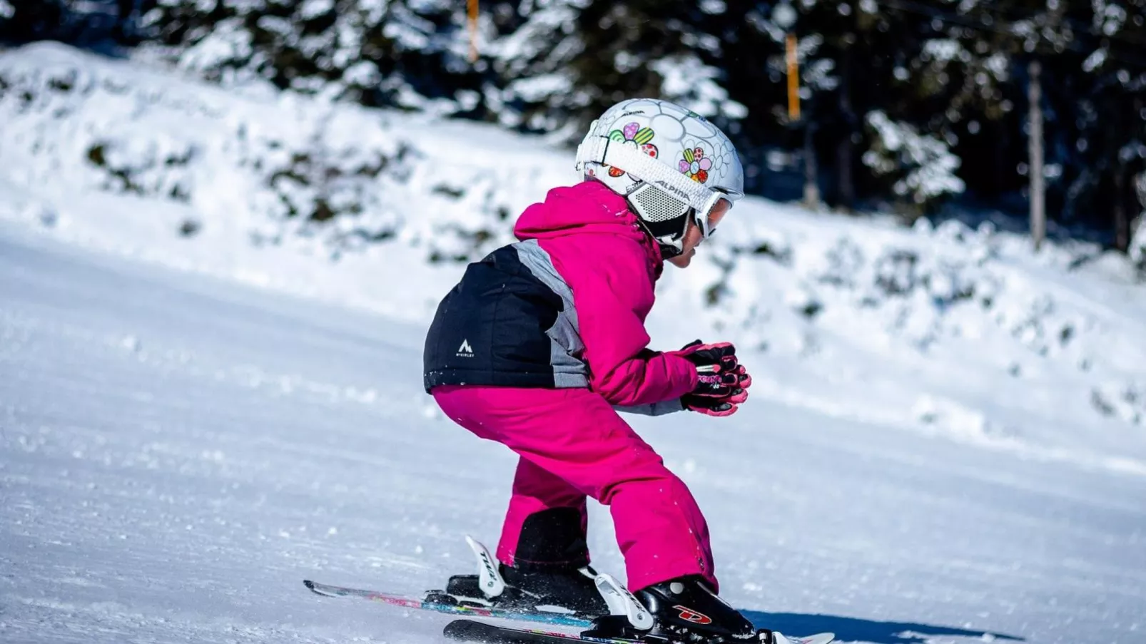 Janita XL-Area winter 20km