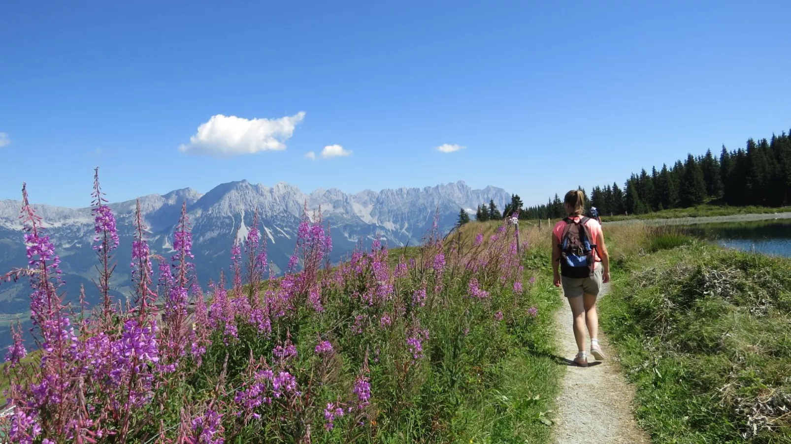 Janita XL-Areas summer 20km