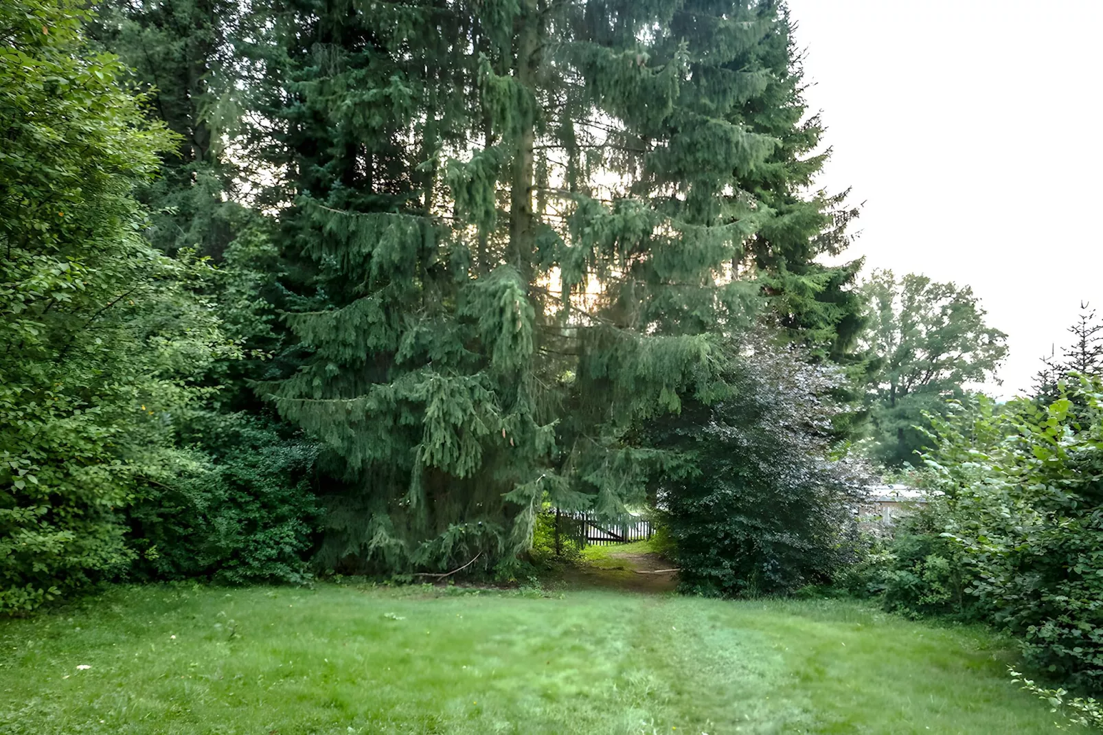 Ferienhaus Luftkurort Oberhundem-Gardens summer