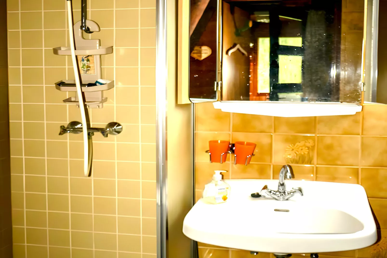 Nordsee Ferienhaus Lindner-Bathroom