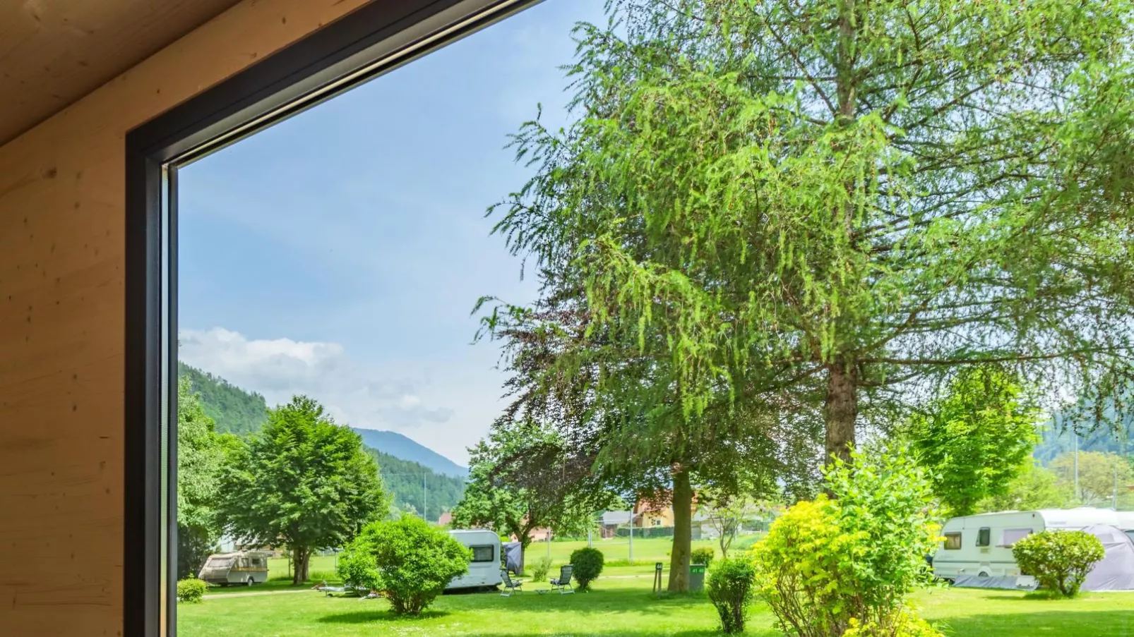viewsummer