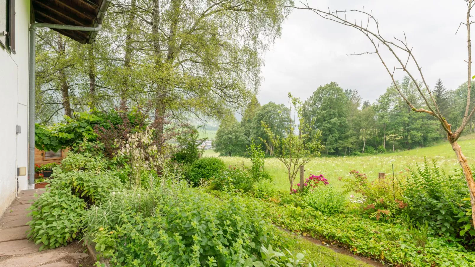 Katharina-Gardens summer
