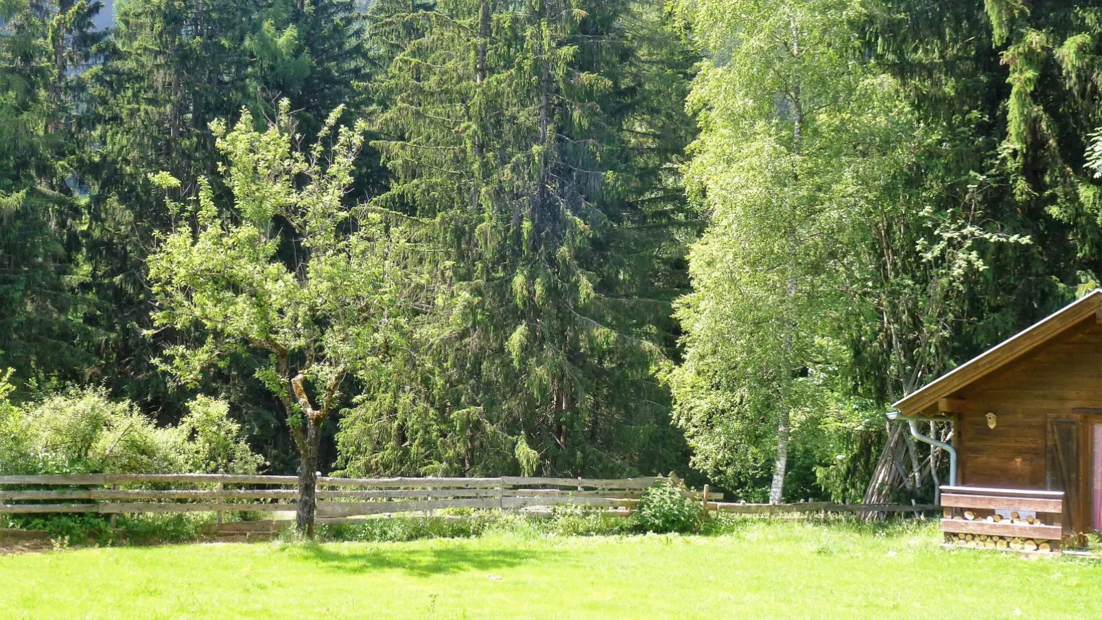 Haus zum Hirschen-Gardens summer