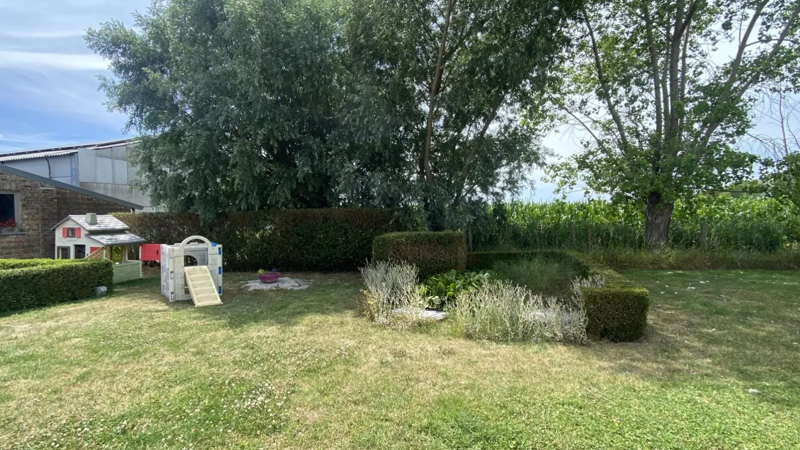 Meeuwenoord-Gardens summer