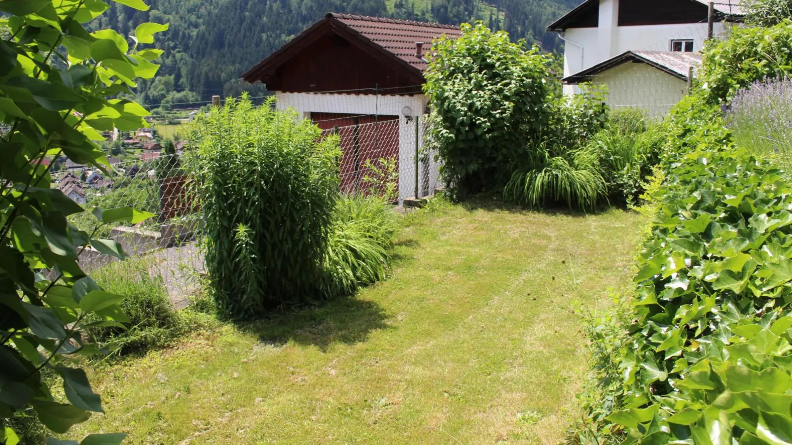Yannsa-Gardens summer
