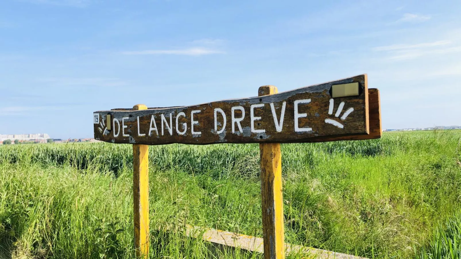 De Lange Dreve-Gardens summer