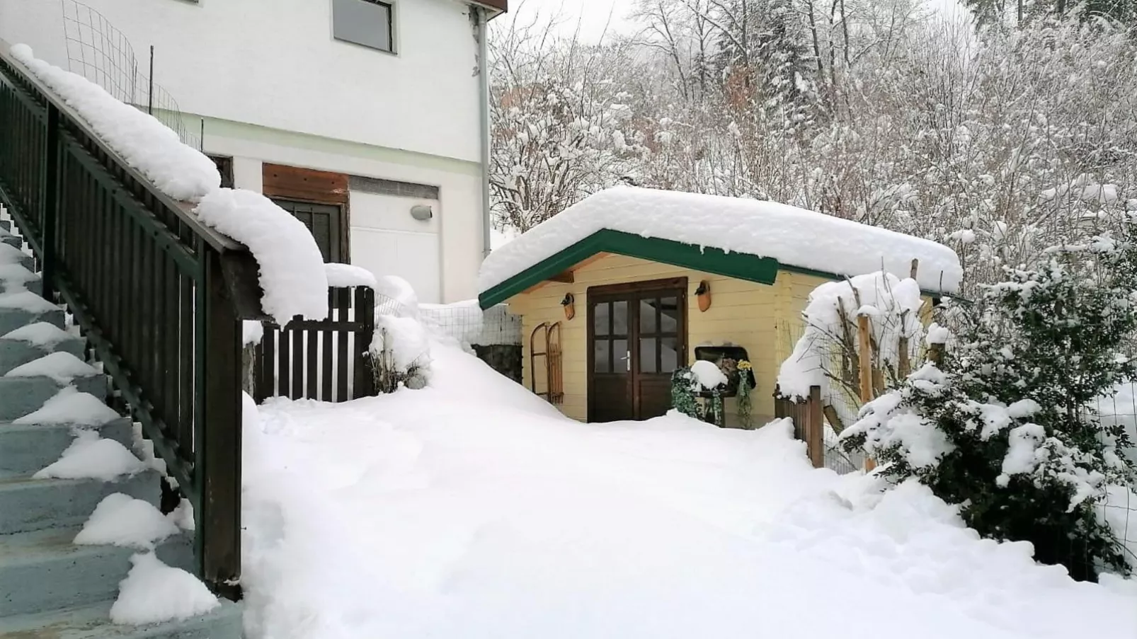 Yannsa-Exterior winter