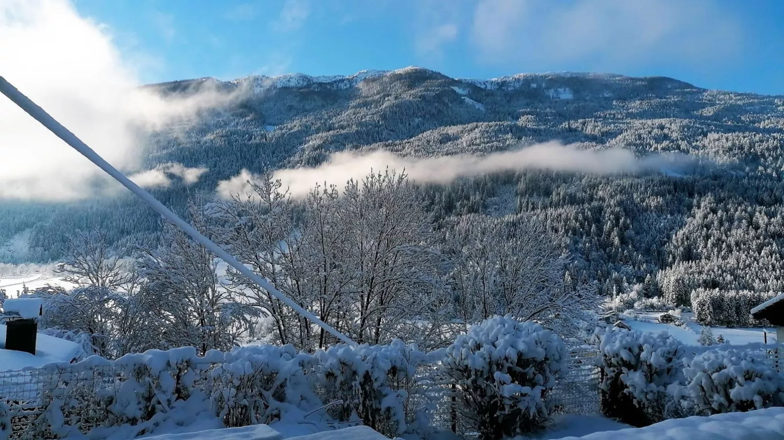 Yannsa-View winter