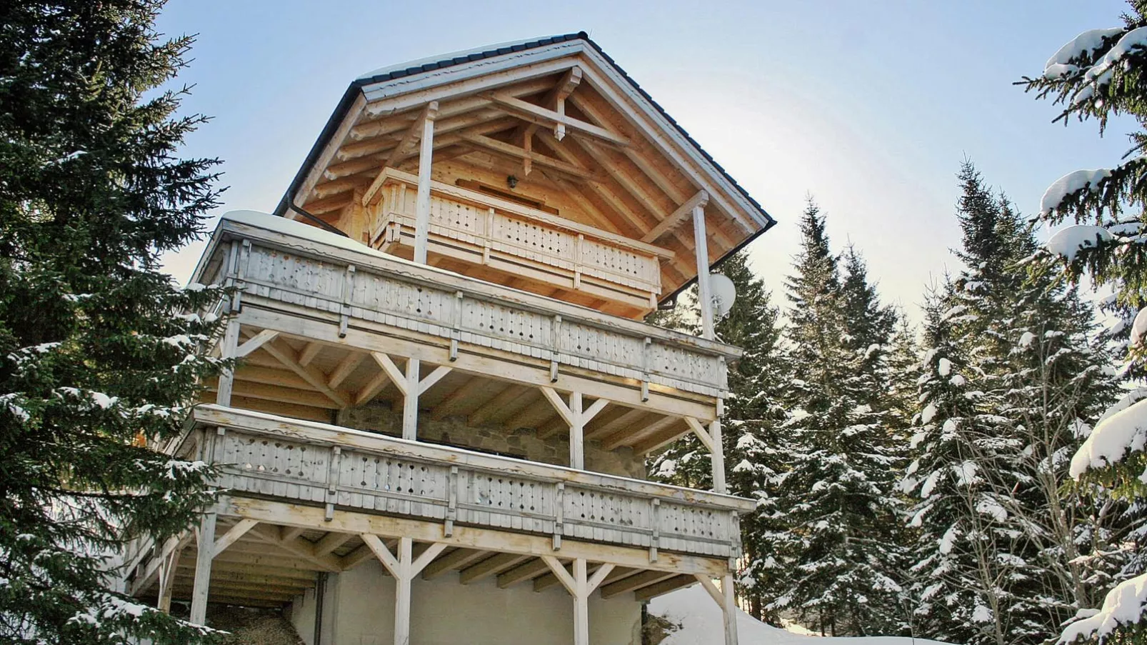 Chalet Bergoase-Exterior winter