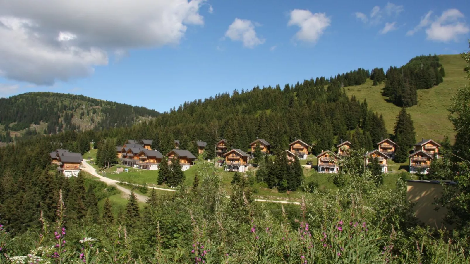 Chalet Bergoase-Areas summer 1km