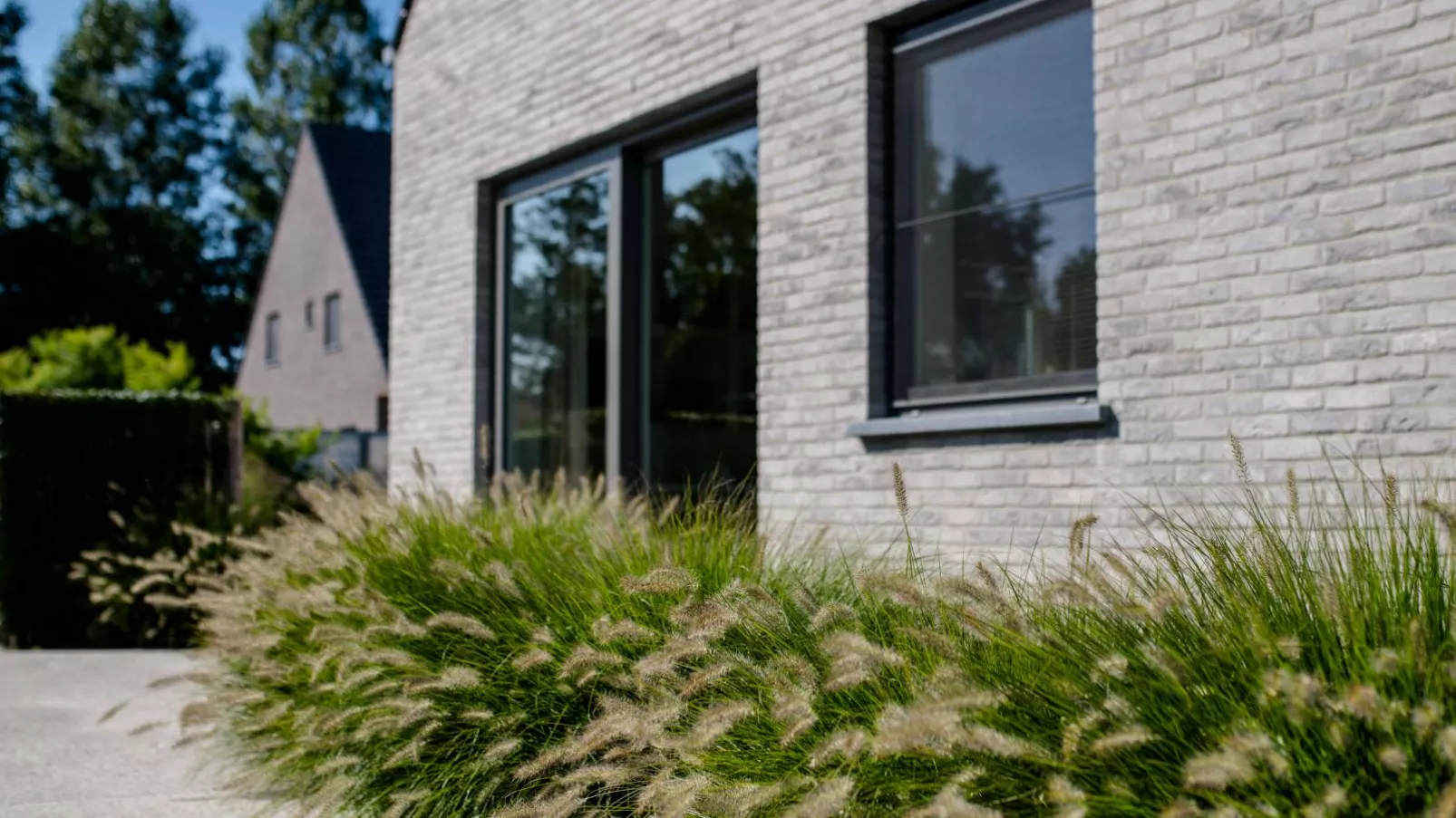 Coq au lit-Exterior summer