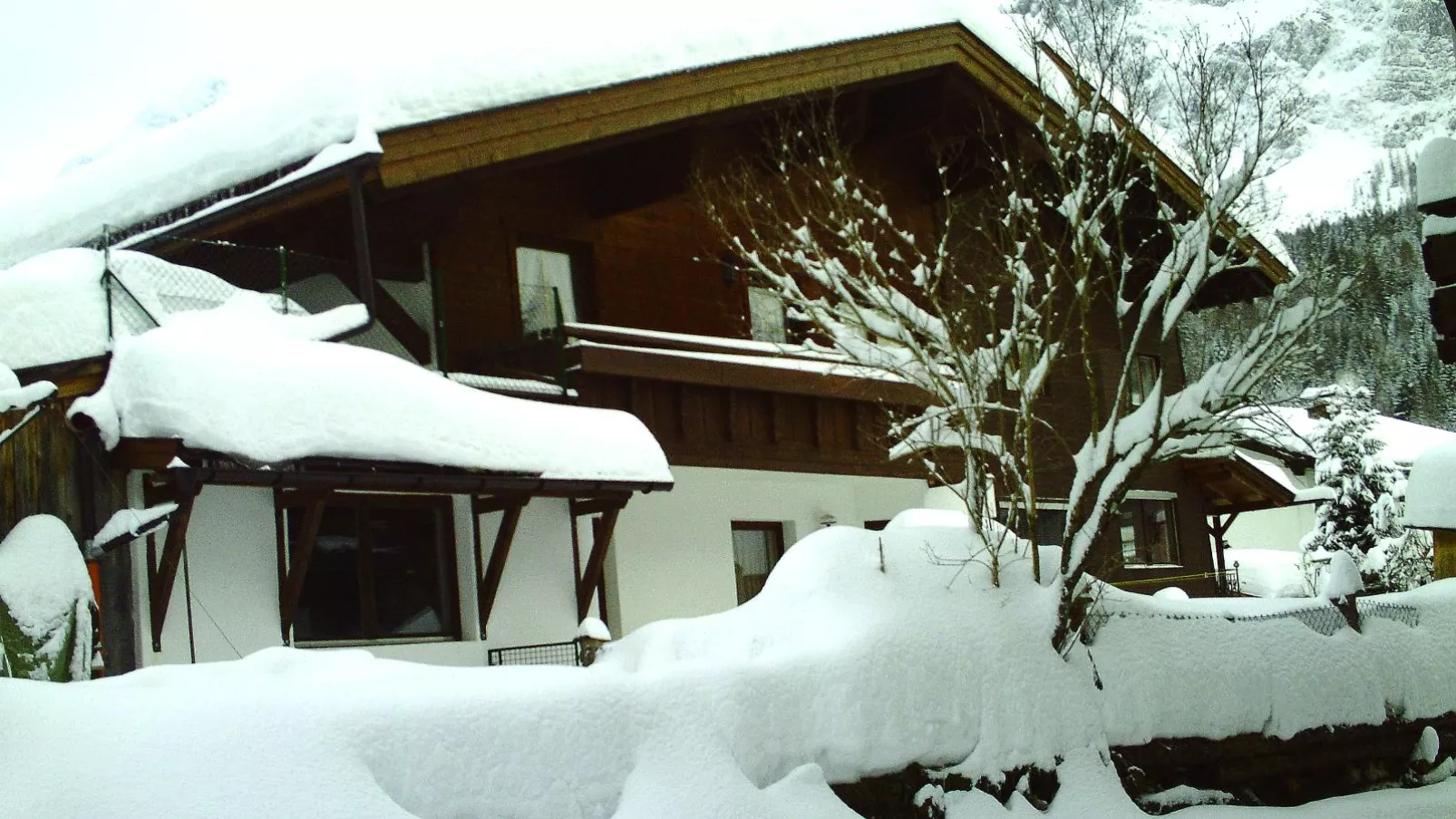 Kirschbaum 3-Extérieur hiver