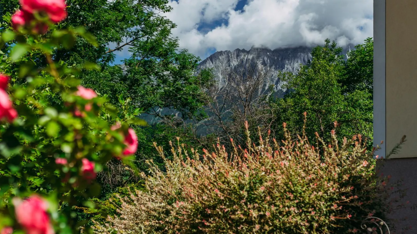 Vesna S Home-Gardens summer