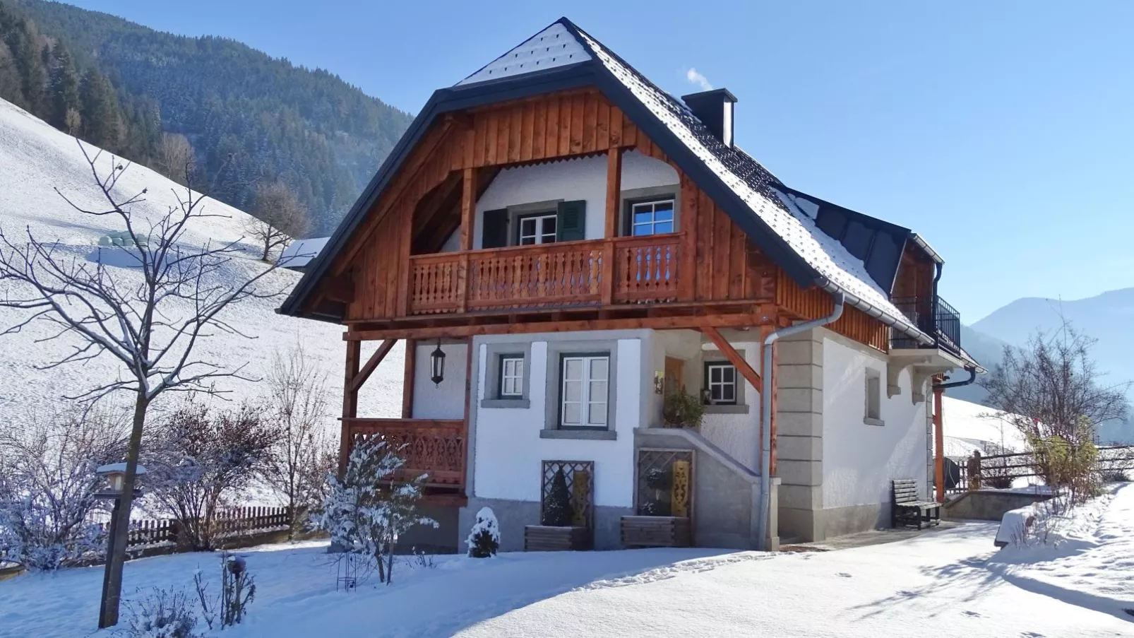 Naturpark Chalet Schladming-Dachstein-Exterior winter