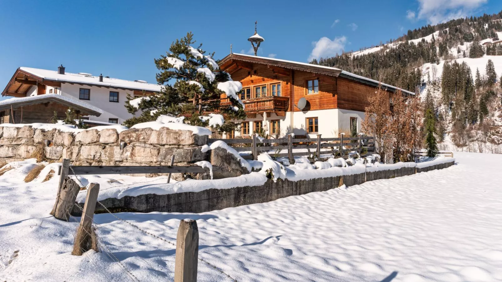 Chalet-Apartment Holunder am Lift-Exterior winter