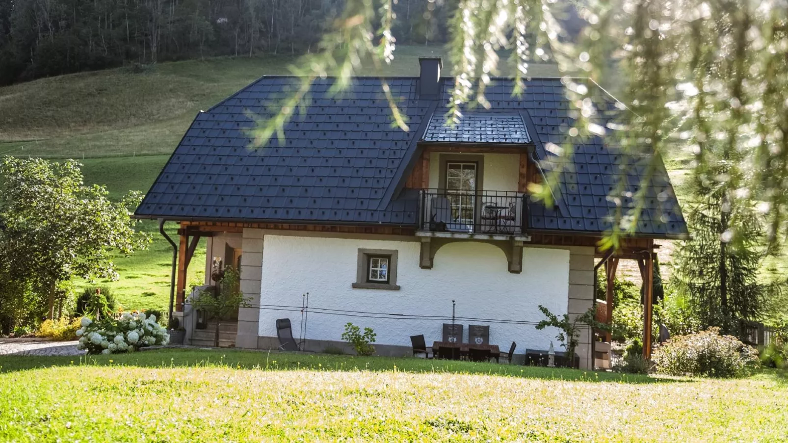 Naturpark Chalet Schladming-Dachstein-Exterior summer