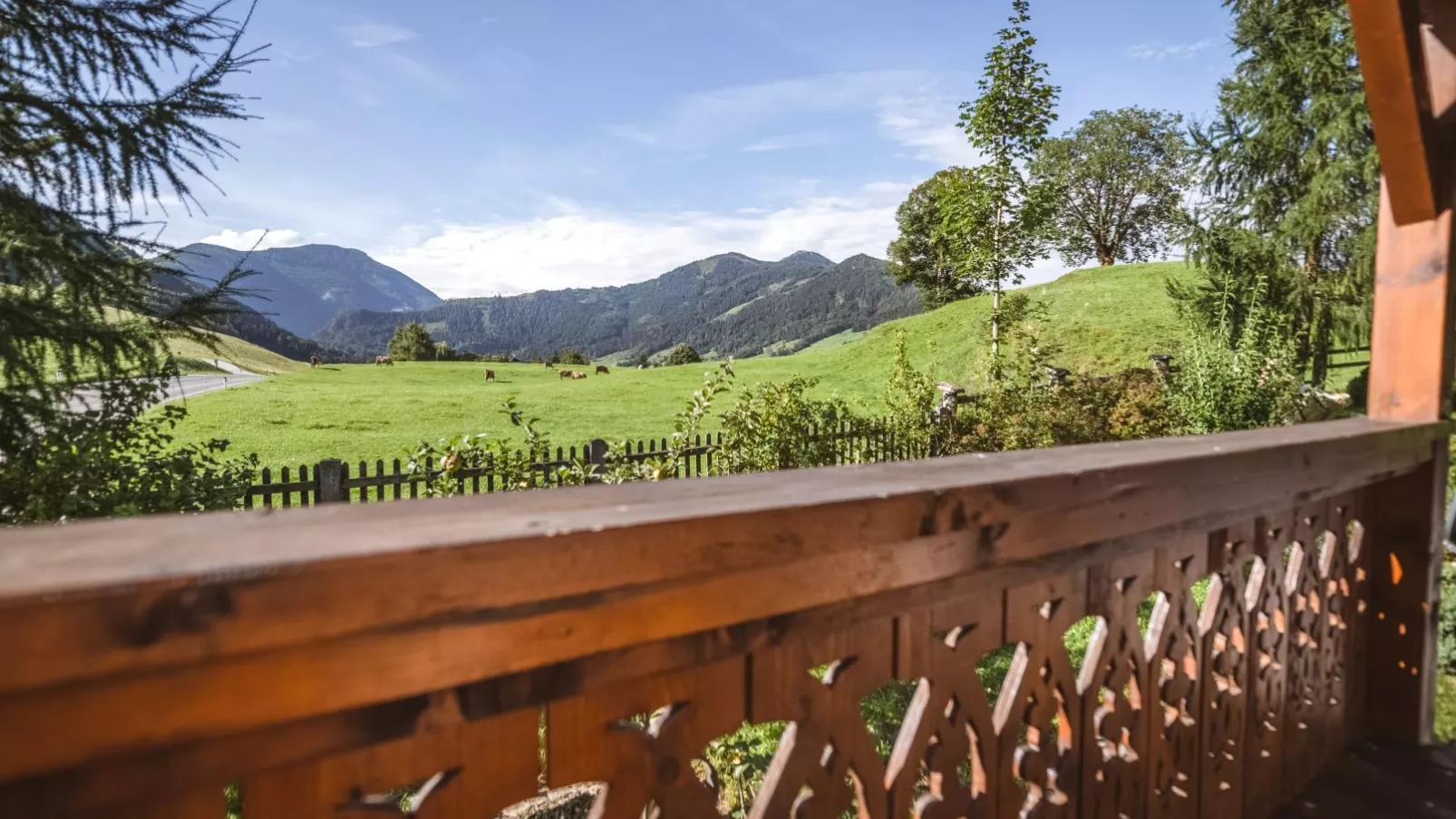 Naturpark Chalet Schladming-Dachstein-View summer