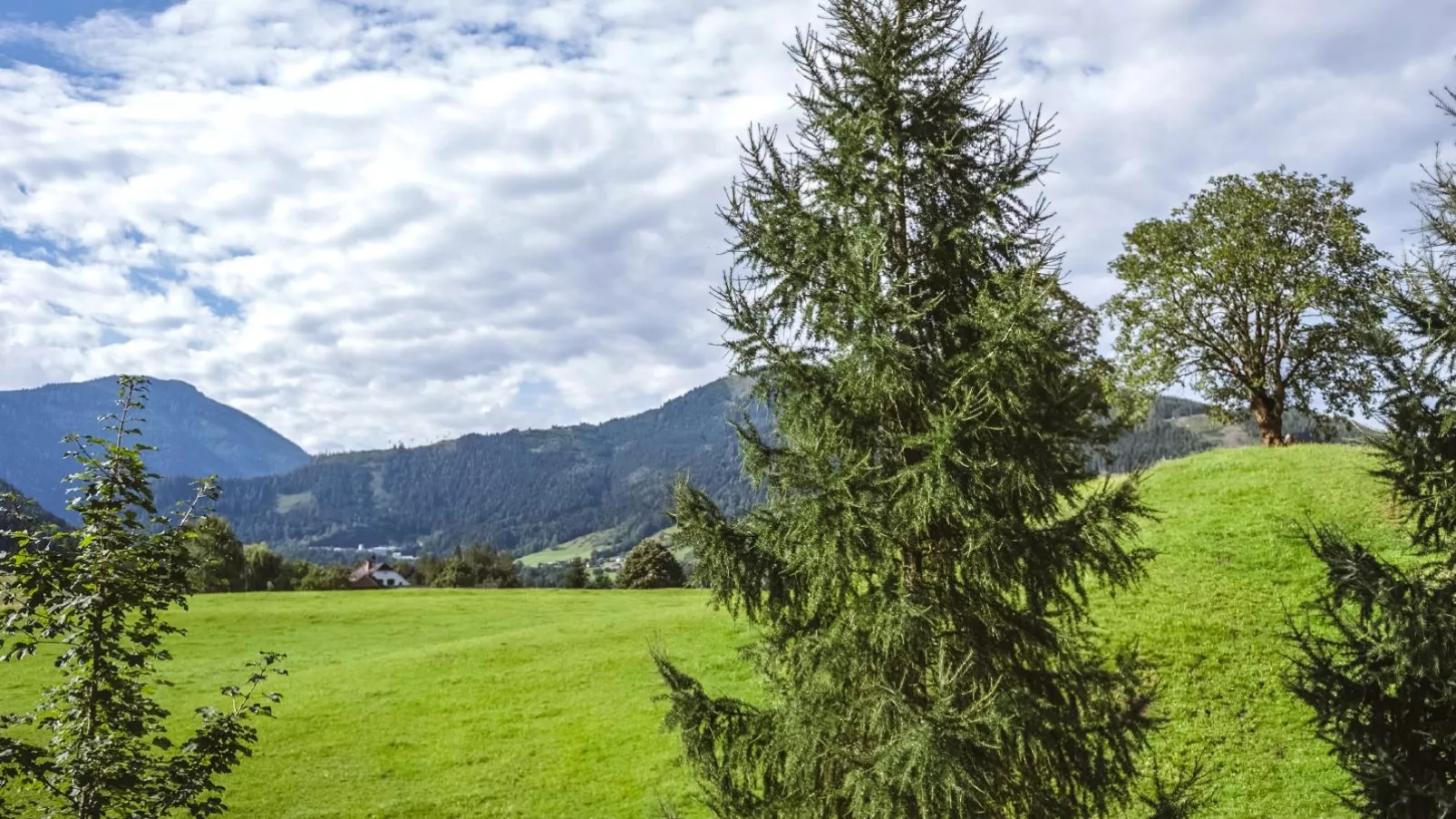 Naturpark Chalet Schladming-Dachstein-View summer