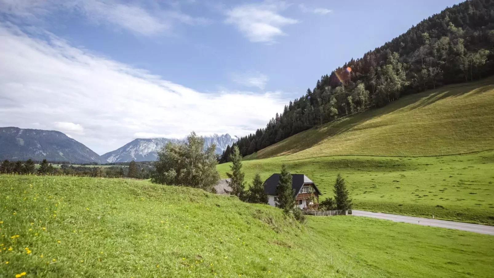 Naturpark Chalet Schladming-Dachstein-Exterior summer