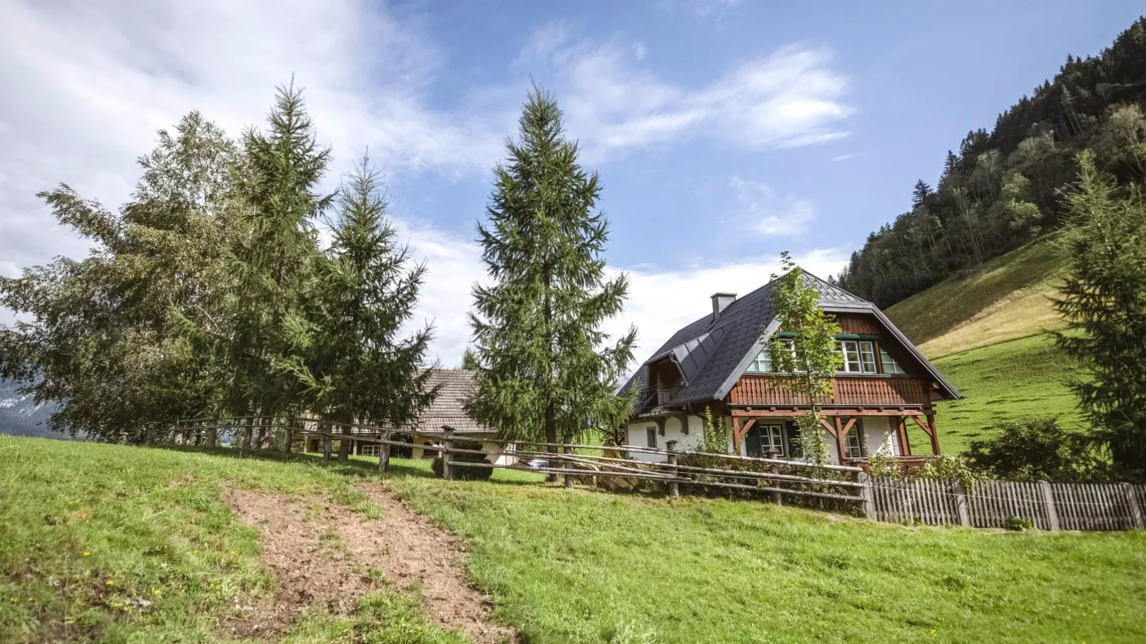 Naturpark Chalet Schladming-Dachstein-Exterior summer