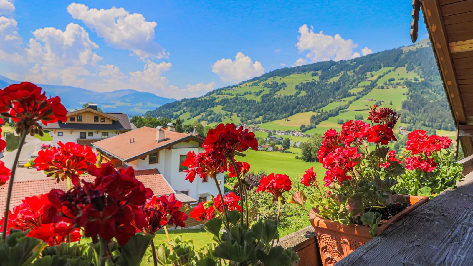 terracebalcony