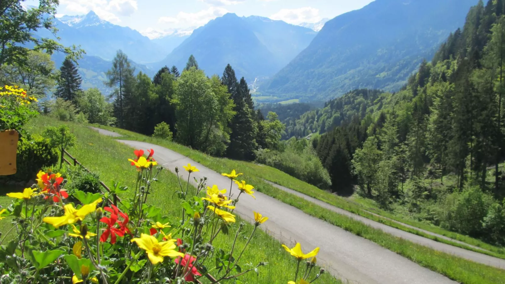 Susanne-View summer