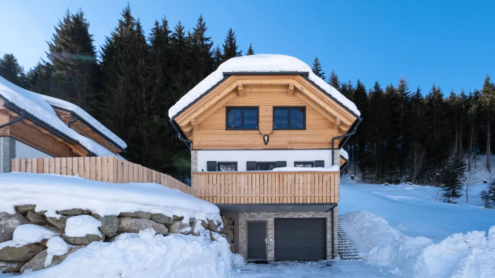 Edelweiss Lodge-Exterior winter