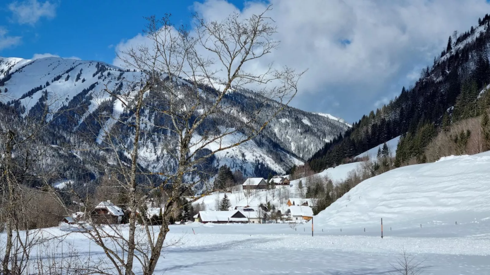 Edelweiss Lodge-Area winter 1km