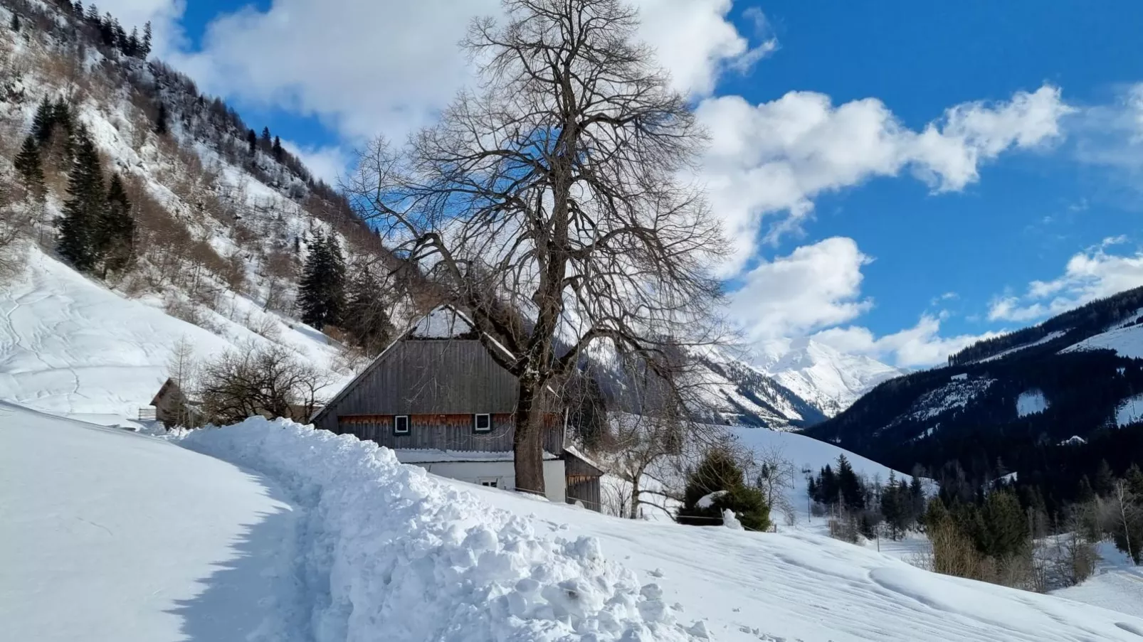 Edelweiss Lodge-Area winter 1km