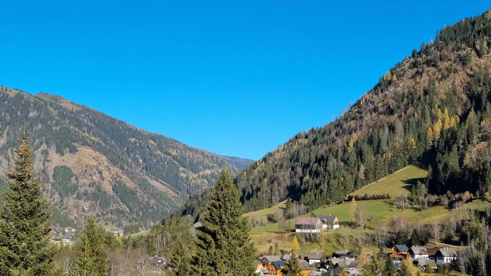 Edelweiss Lodge-View summer