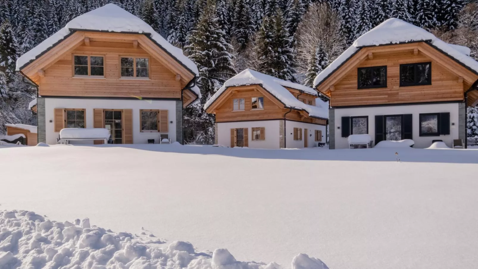 Ahorn Mountainlodge-Exterior winter