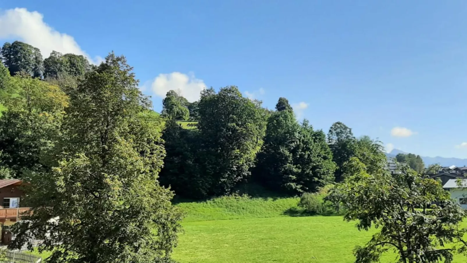 Apartment Sigi-View summer