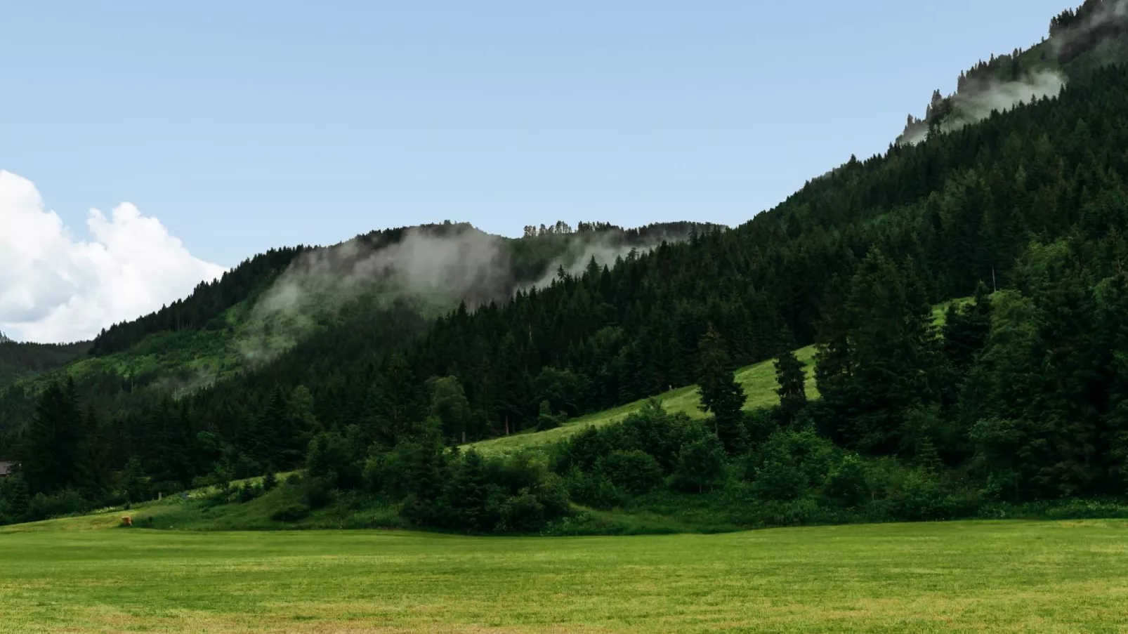 Haus Ganbei-Areas summer 5km