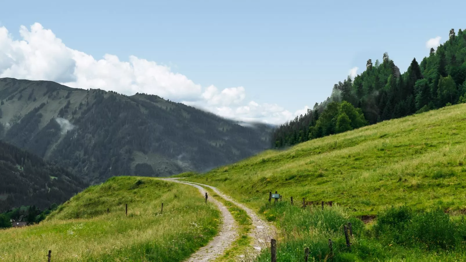 Haus Ganbei-Areas summer 5km